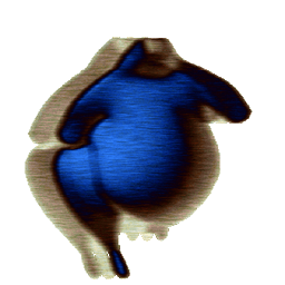 Coin image for Cv7QLYgVLinQhx3Rjzy1na2Hv7yMMMchE8d2Qrrpump