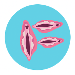 Coin image for CvJHgAnUJ5ELqjmCEuVHu94FqXDALBGGUtQkoJmdpump