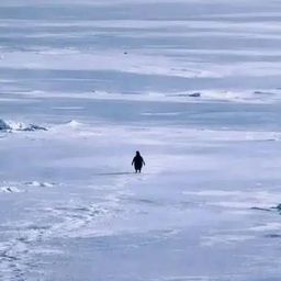 Coin image for Cwt6CP2ecQ1BVMwPcexRrr34qaexguHUwdvsyKxVpump