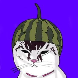 Coin image for CyUGNmwn6FBFmMDKhkFNxe7C4AdCnVceLRb9EWoUpump