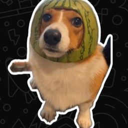 Coin image for CzBeM2JijubdFSMGmrc6GthktqK4tUETXqZEo7Vxpump