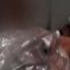 Coin image for CzFddS9eDdAAhqAAnx47E9gu4R2afExYwZenpcUC73Si