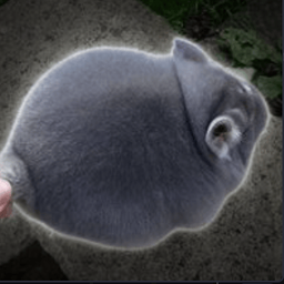 Coin image for CzxLfYoToXTsn9YxDVGvmDqrJQVmRaJBVEgAcEq7pump