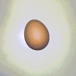 Coin image for D1MEP8rerTWDvUpUU6ULUHqGgZeTH5hk2DCopSbnpump