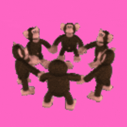 Coin image for D1kWoYYgLk9KLkGUh2MUfDFzpnTTyixRqBZX7a1i2MEz