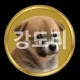 Coin image for D1wg9nkUCthwy5yt5b67s5C2nA4aYSkRTpmaKbMzpump