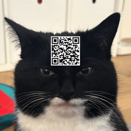 Coin image for D29DeYpFHBH9d95WusxPnbUoAdkfcNBz1fjh2ogBpump