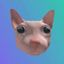 Coin image for D2ZP6zoACEAK3rJN7kzKqygMzzw8WEgcdKidEDUr1JW2