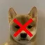 Coin image for D3VZf2fBjWnSRfPhCtrkkuwteb6LaPjFZwqf4NLopump