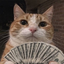 Coin image for D4XeNZ8bmgDimstw4eHbD6ea2PR7F6HoUGzToqE7pump