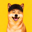 Coin image for D4pJunMuszojb1XkMoXEeWN7PQQXQa2ygYAmMnikpump