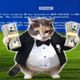 Coin image for D5jmCYqfBZxhWGV1uagG8rkw8Faqq6bNge7B6ALhGwck