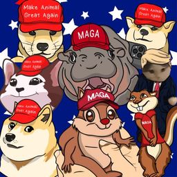 Coin image for D5shQMBKEQdvRwXBQGz1fCQxHDzpRfeaPbuGuSWppump