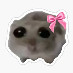 Coin image for D6k2XqNG8trjcNeKgANKp8gnY2fgtMuPH9t3m8a2pump