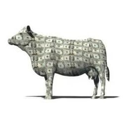 Coin image for D6ytjMdBBPoV8nsRHJhvrkpwF7sgVBYd7PufkRHNpump
