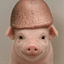 Coin image for D7hvkgkDahT1ePW5CXKpXah2CUXLvrLxmJhwJsrZpump
