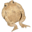 Coin image for D9LX5dtiAG9GVhvKfXYRgJLhz3NYSKrgH7J2sTDoYUMe