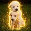 Coin image for D9a5b5dhJcpWz12H4mo1MSY7DsSmpBZPyfooB44Ppump