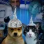 Coin image for D9jHQbtTz9hwZrbAAZtaysyDSeRwxCWupT3o36fNpump