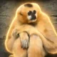Coin image for DARbu1fDas5yVdBbJd6CqbwdrK3Ahay1KcUauzryqUC2