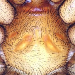 Coin image for DAYPXD8HeFRkjF9zp382twbjsKP8XCdoeaKC4giGpump