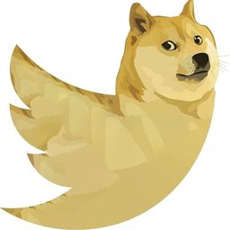 Coin image for DAiHw65uoGug7SdwVM8d7BS3ngmfFT9KfWh5vQjEmZtD
