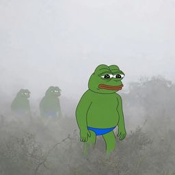 Coin image for DB9rtPCnj3ksjM2Pa5gVaSrFKfGFkify5rRhWXwupump