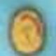 Coin image for DBrdobFkSra8eBp5RB5hWFXayEUXkEoCRgWjCzPHAGtm