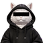Coin image for DBymdMFLkEnLnaQ9DeLZu5xpZf8dXLCFVRfwzzFgpump