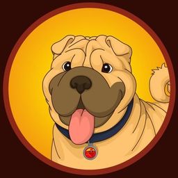 Coin image for DCfVHxrnLfHQuyjiMdHdnbn3NAAnPX8Ny15WNgofpump