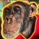Coin image for DCfpY1v6wFkx32eeJvf4ZsiRRNn1rViu3z3GmuHHpump