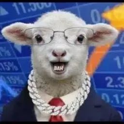 Coin image for DCiGbWWndFGKTtwLBPpg5Wem7ZfZi4vCZ6LDQymBpump