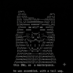Coin image for DDZWndyLvjVgaEtM6dbipeLM8q9iPLmCVQ2LJUHBpump