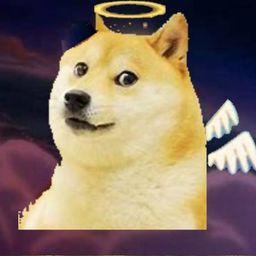Coin image for DDyVCy9YoTagsAgeYe2yQmi5NgxNQPLFNPhWMoLJVUxZ