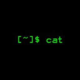 Coin image for DDysVvMkWSrbZGkJiRPTspLZXDdBSvk4xX8vas8Xpump