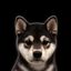 Coin image for DEroPvXqjAYJcRJqFK7kTKBqScHCvAqoX7sjAC1SYfZz