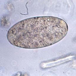 Coin image for DFfR3KSLzyydSnLWtkrDgg1ER978cB4GJepMkUTKpump