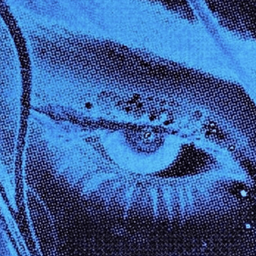 Coin image for DFnN7KbMebskPnWShxovzML9GTp8B2tkrLvFcohWpump