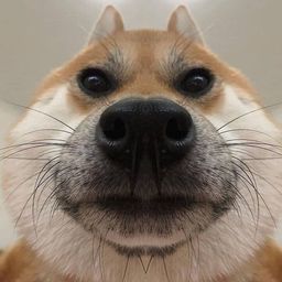 Coin image for DGDLFvjqtY95FrcLgrHyBsMmfwqvrKVCa1sfKA4Apump
