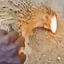 Coin image for DGLkMrHgAQfWP3ymcFzJJAPjU7zz8ArKTns8wrmJpump