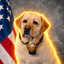 Coin image for DGQfnDqnsAbPL5q7VZNYWLVR6yVTVLgek8jcQcRqpump