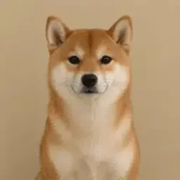 Coin image for DH1PEDv4ZpdtcDsxWSASuuDLZ1CAcnk2tzg9u9nqTzEe
