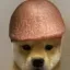 Coin image for DHP3AwNyhMuFXjv2iKDDofbKdcd1uNdNiJsGLvtpump