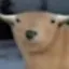 Coin image for DHWQa7Hiw3ZpNofYPWDfeHEP2rZhyEhxd9uWFmzrpump