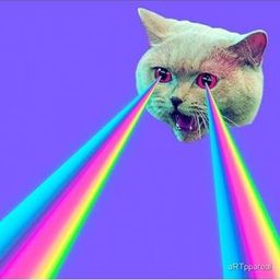 Coin image for DHbVH4M2dJTPKZvbvEAbQ4u3rXMsxd7N2PCMsZ1xpump