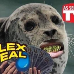 Coin image for DJjBYTmCdFy5XE9GVo6hPjTunckn2FwpPEATB4F3pump