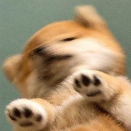 Coin image for DKMfX2PxX2CnKSgpeWebRAwqcTQCG7h9fsGkgzT2pump