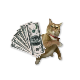 Coin image for DKpZHLnCgPHtMquFzASsyqmw5RFZC4sUA5cy5tbepump