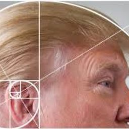 Coin image for DLFuVe4jhuuLQcsGmHdk3cDJLLxeJLtLDTFMtrfopump