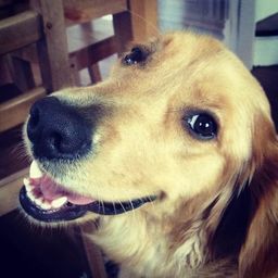 Coin image for DLs3BTL1PhM2KFXpyFQChg1PG2CJgecVEM9DQDSxpump